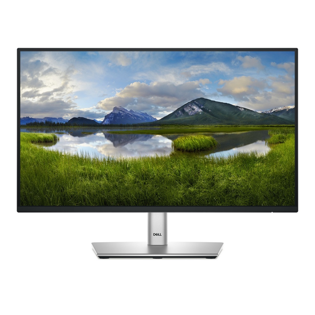 Dell P2225H - LCD monitor - 21.5" - 1920 x 1080 - IPS - DisplayPort / HDMI / VGA / USB - Black / Silver