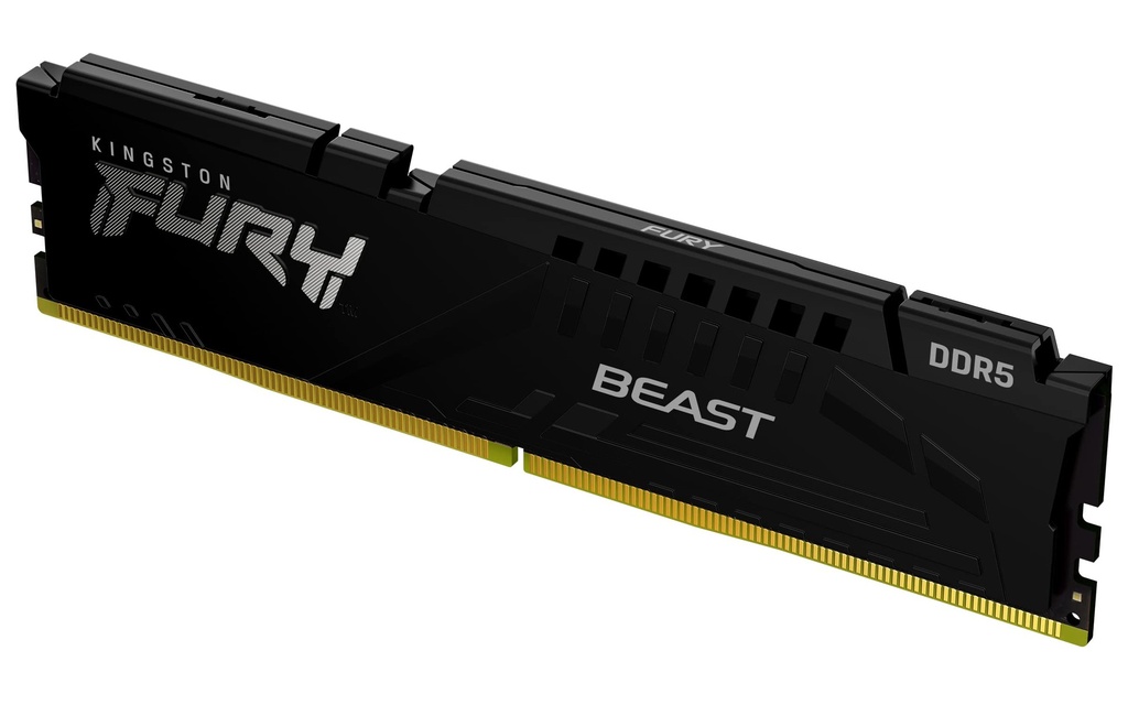 Kingston FURY Beast - DDR5 - módulo - 16 GB - DIMM de 288 contactos - 5600 MT/s / PC5-44800 - CL40 - 1.25 V