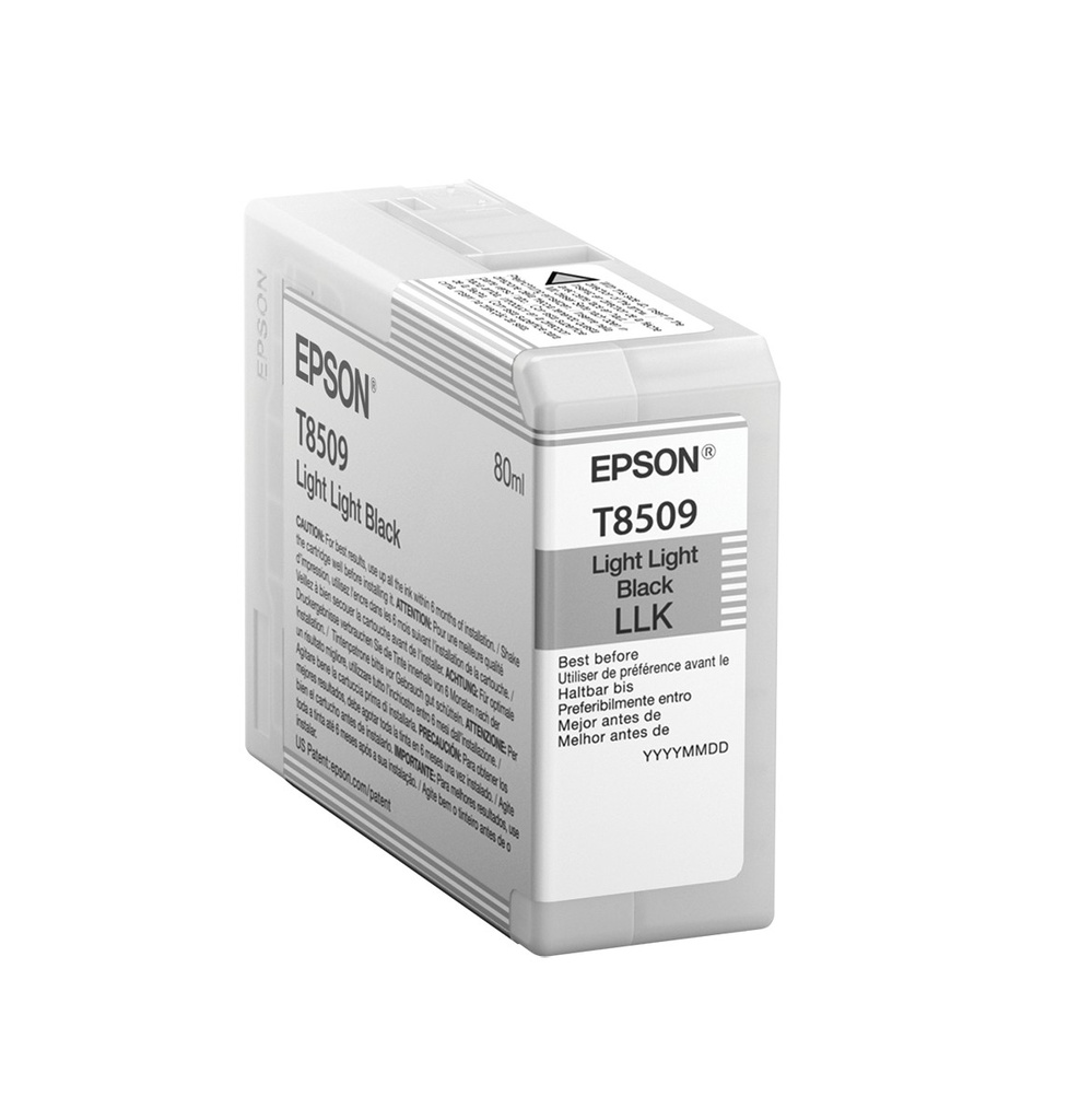 [SUMEPST850900] CARTUCHO EPSON T850900