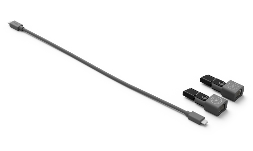 Cable Logitech Rally MIC POD CAT Coupler