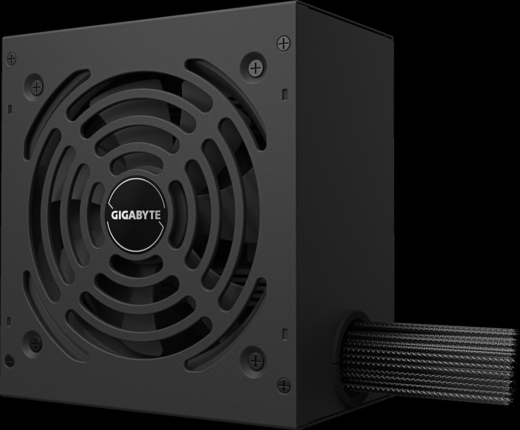 Gigabyte - Power supply - 650 Watt - AC 110/240 V - 650W