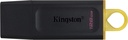 Kingston DataTraveler Exodia - Unidad flash USB - 256 GB - USB 3.2 Gen 1 - negro/rosa