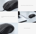 Xtech - Optical mouse - USB - Wired - 1000 DPI - (XTM-165)
