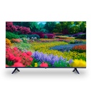 TV Stargold 50Pulg. 50A0UG Smart 4K LED Wi-Fi BT Ethernet HDMI Negro 2y