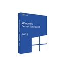 MICROSOFT SOFTWARE WINDOWS SERV. STANDARD 2022 SPANISH 1PK  DSP OEI 16