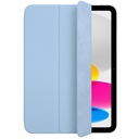 PROTECTOR FOR IPAD-2 CELESTE