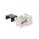 Nexxt Solutions Infrastructure - Keystone Jack - Category 6 - Cat6 Unshd KJ White