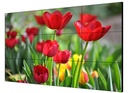 MONITOR DE CCTV 55 PARA TV WALL